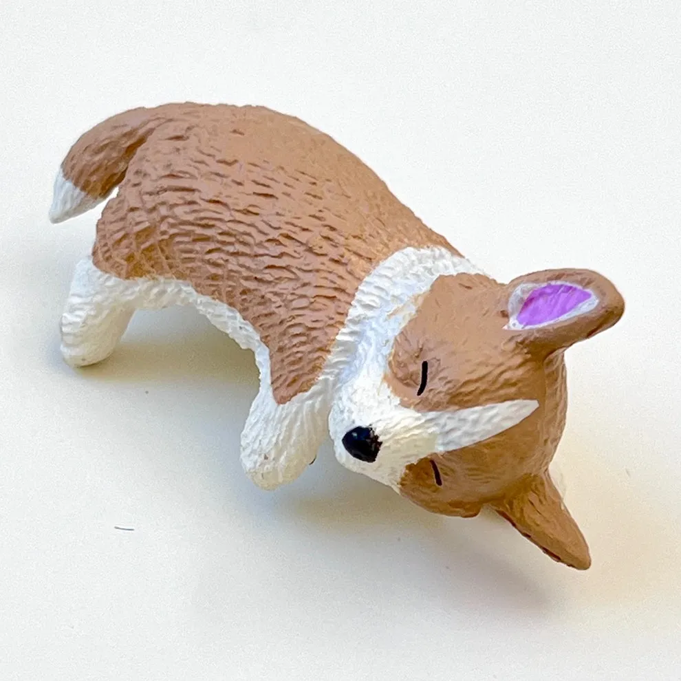 Playful Dog Blind Box